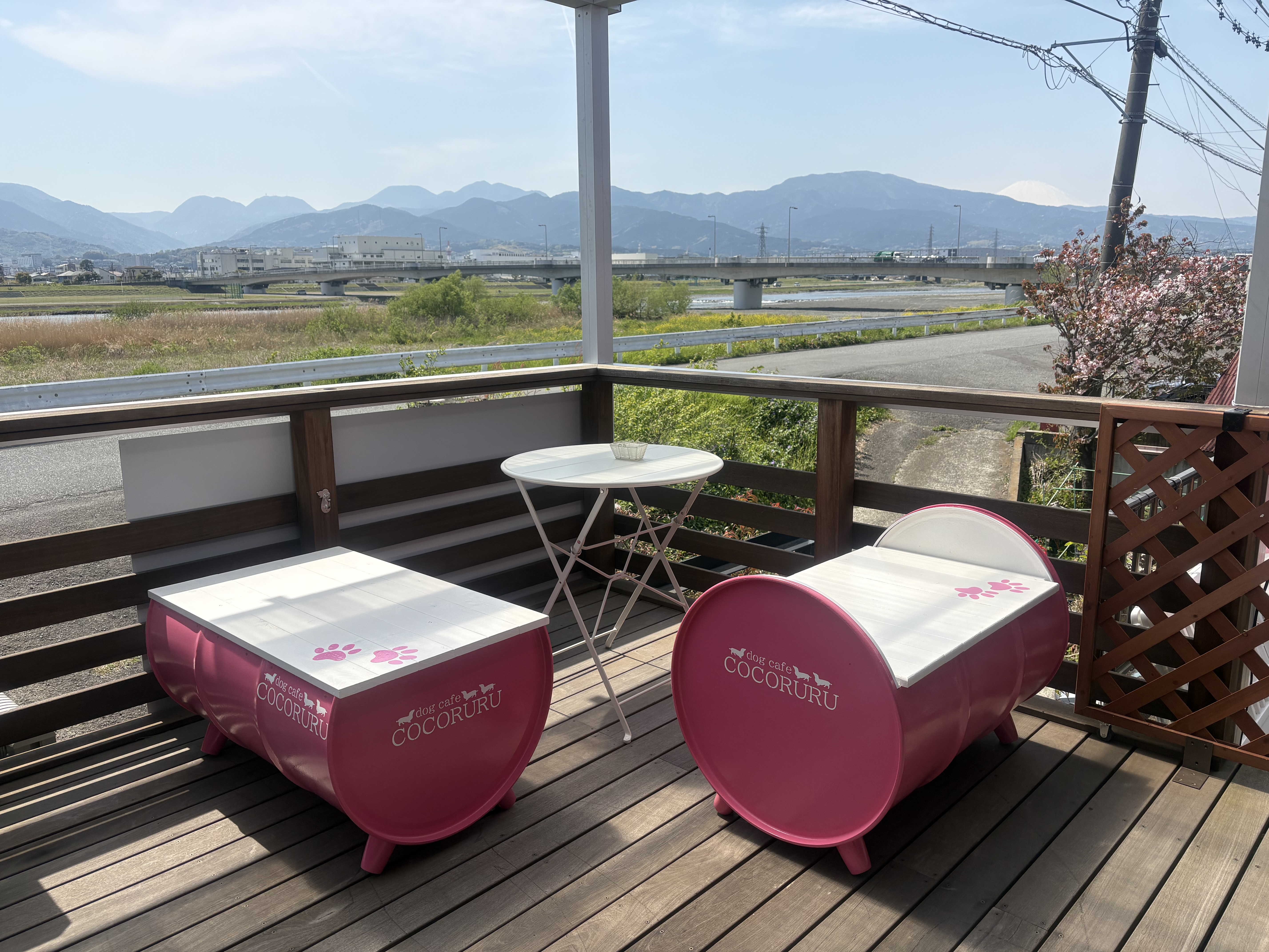 ドックカフェ COCORURU(ココルル)の画像3