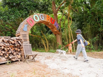 THE DOG DEPT GARDEN RESORT 館山犬石の画像1