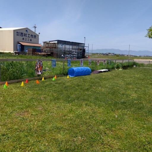 あすなろドッグランの画像2