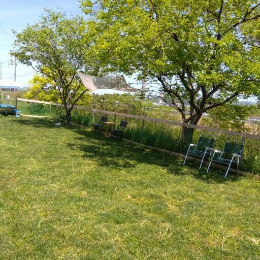 あすなろドッグランの画像3