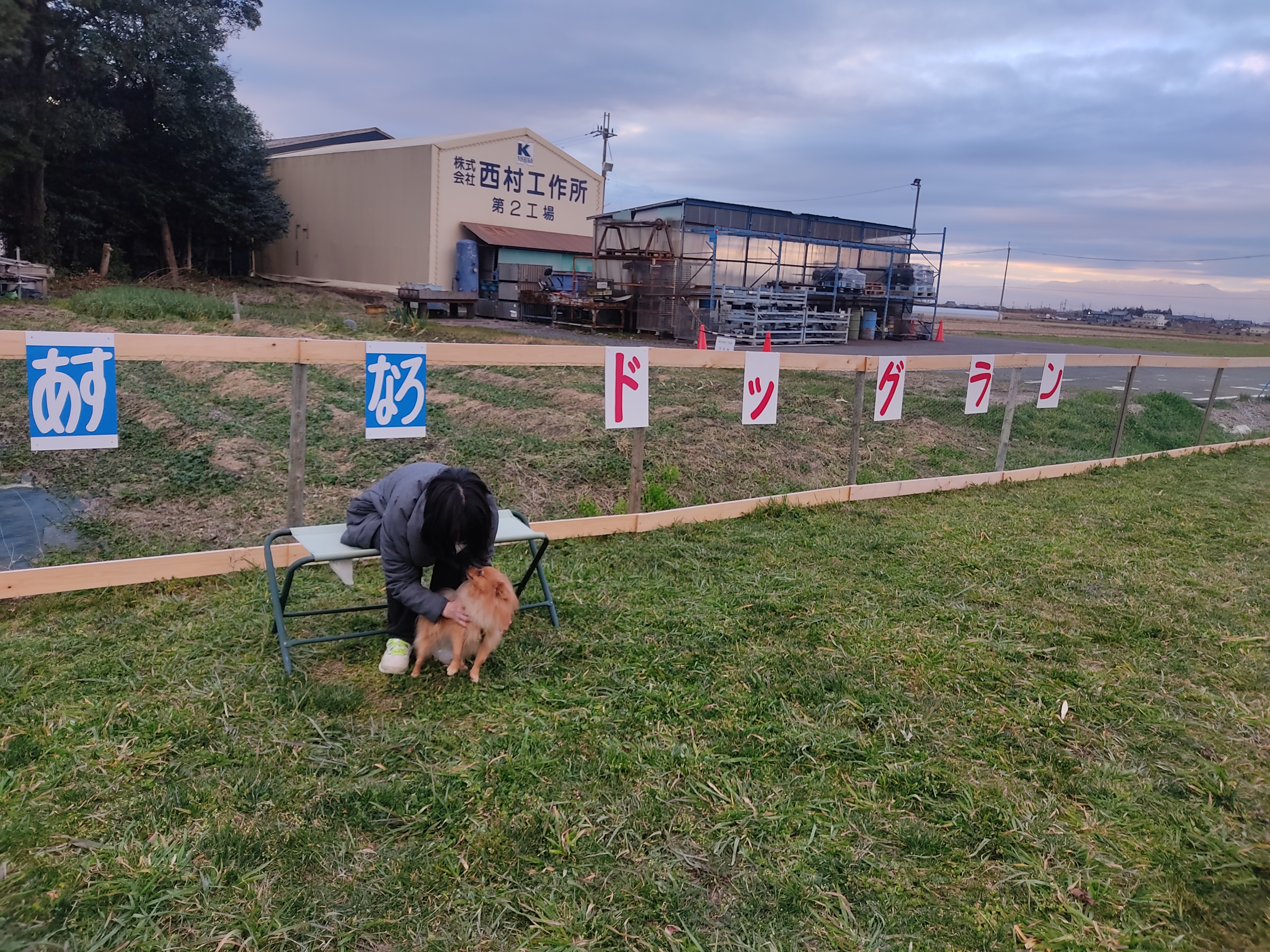 あすなろドッグランの画像5