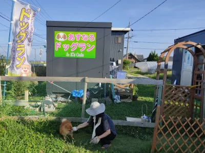 あすなろドッグランの画像1